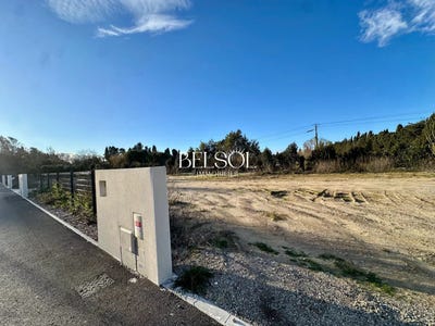 /international/fr/elne-calais-310107191418/