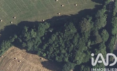 /international/fr/magnac-bourg-limousin-310107469598/
