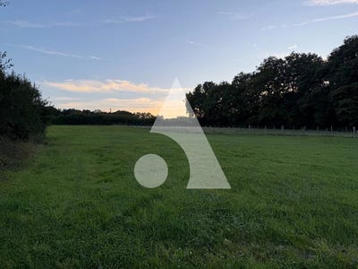 /international/fr/fontenelle-burgundy-310102992158/