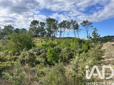 /international/fr/aigaliers-languedoc-roussillon-310108270250/