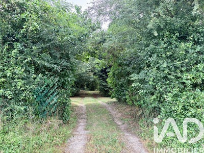 /international/fr/allouis-centre-val-de-loire-310108828561/