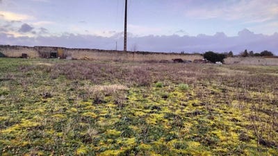 /international/fr/neuville-de-poitou-charente-310105212808/
