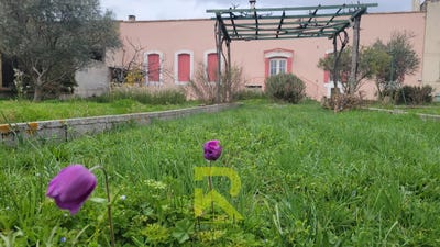 /international/fr/pieusse-languedoc-roussillon-310098903369/