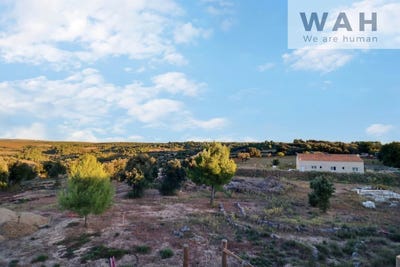 /international/fr/saint-pargoire-languedoc-roussillon-310105912737/