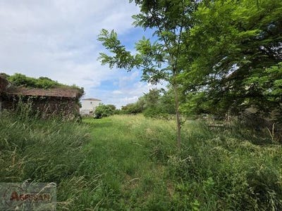 /international/fr/maruejols-les-gardon-languedoc-roussillon-310108487614/