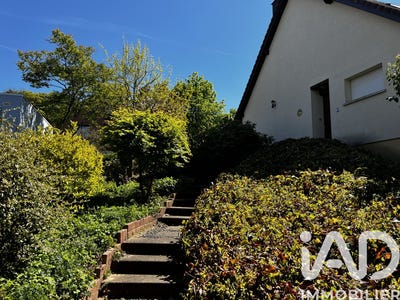 /international/fr/seppois-le-bas-alsace-310105379428/