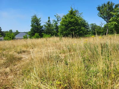 /international/fr/cellettes-centre-val-de-loire-310108486914/