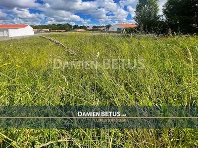 /international/fr/la-chaize-giraud-pays-de-la-loire-120098600360/
