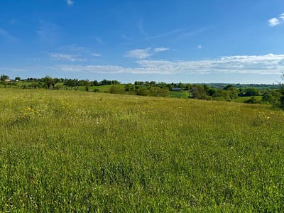 /international/fr/sainte-juliette-sur-viaur-midi-pyrenees-310108316586/