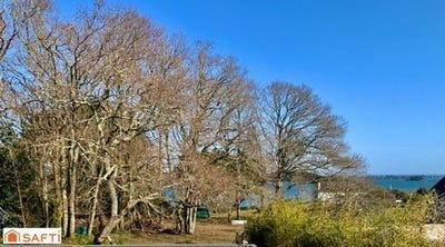 /international/fr/ile-aux-moines-brittany-120098502950/