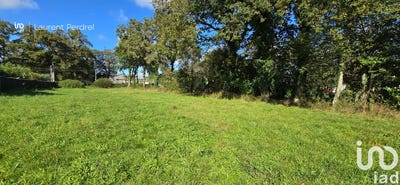 /international/fr/allaire-brittany-310107018855/
