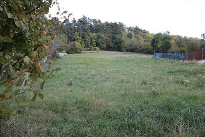 /international/fr/lons-le-saunier-franche-comte-310101378646/