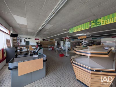 /international/fr/le-grand-luce-pays-de-la-loire-310107269597/
