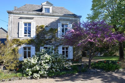/international/fr/angers-pays-de-la-loire-120088859043/