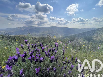 /international/fr/vidauban-provence-alpes-cote-d-azur-310108000301/