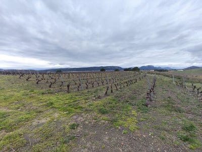 /international/fr/tautavel-languedoc-roussillon-310107298766/