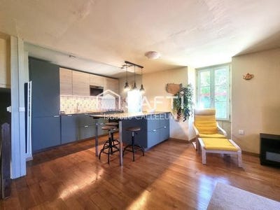 /international/fr/brossac-charente-310108869661/