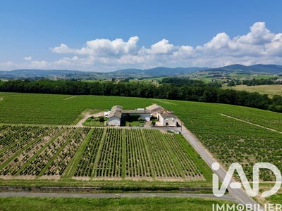 /international/fr/arnas-rhone-310106404353/