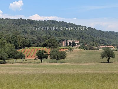 /international/fr/cotignac-provence-alpes-cote-d-azur-310108644474/