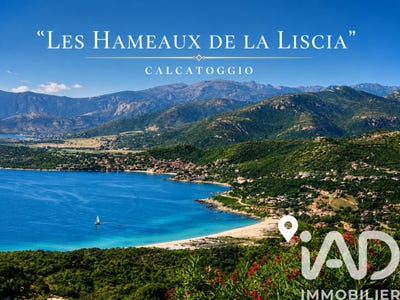 /international/fr/calcatoggio-corsica-310108159803/