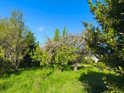 /international/fr/la-baule-escoublac-pays-de-la-loire-310100794936/