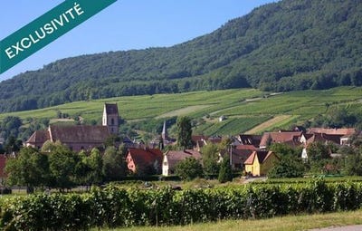 /international/fr/westhalten-alsace-310101383034/