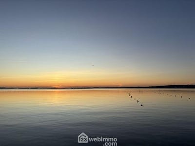 /international/fr/balaruc-les-bains-languedoc-roussillon-310109879321/