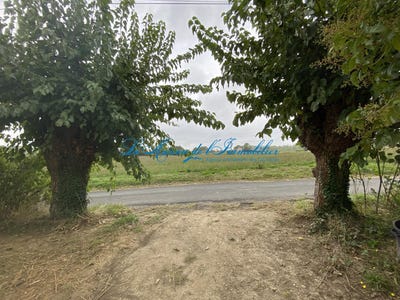 /international/fr/cardet-languedoc-roussillon-310099951029/