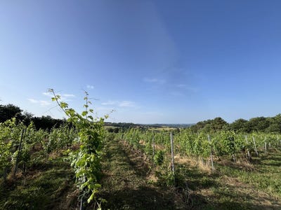 /international/fr/puy-d-arnac-limousin-310107577182/