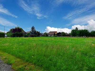 /international/fr/traubach-le-bas-alsace-310105139720/