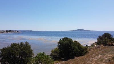 /international/fr/meze-midi-pyrenees-310101325056/?lang=zh-tw