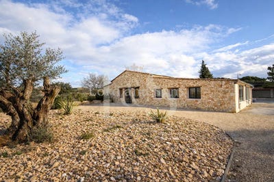 /international/fr/tulette-rhone-310105749471/