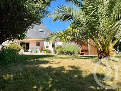 /international/fr/quiberon-brittany-310098893473/