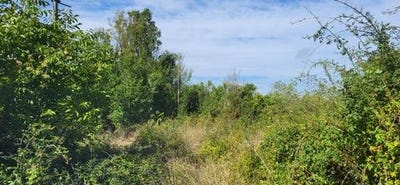 /international/fr/angles-sur-l-anglin-charente-310104863542/