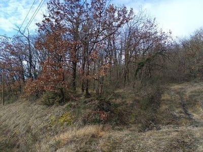 /international/fr/graulhet-midi-pyrenees-310105761754/