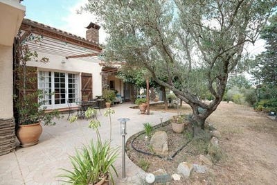 /international/fr/thuir-languedoc-roussillon-310106267875/