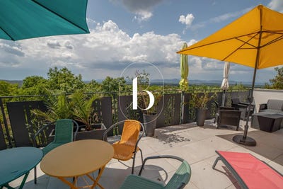 /international/fr/navacelles-languedoc-roussillon-310106716222/