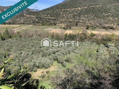 /international/fr/ansignan-languedoc-roussillon-310106597685/