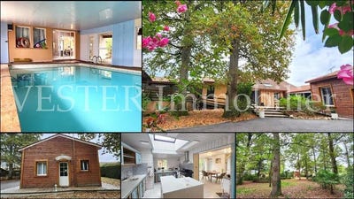 /international/fr/echourgnac-aquitaine-310106115866/