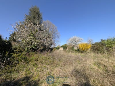 /international/fr/orleans-centre-val-de-loire-310106083677/