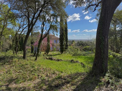 /international/fr/pignan-languedoc-roussillon-310119974414/