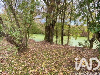/international/fr/la-taillee-pays-de-la-loire-310103699807/