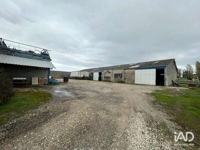 /international/fr/mezin-limousin-310106824777/
