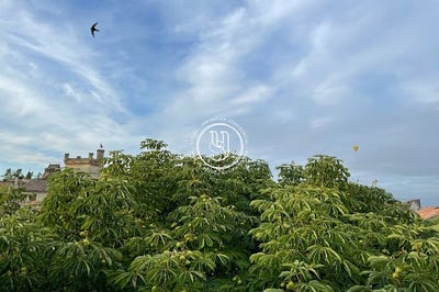 /international/fr/uzes-languedoc-roussillon-310100990673/?lang=zh-cn