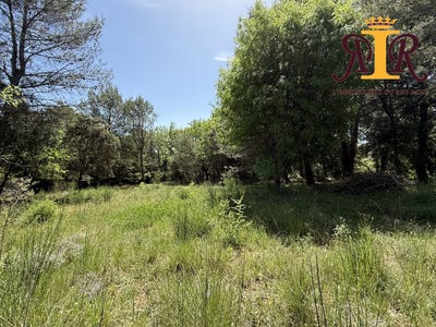 /international/fr/grambois-provence-alpes-cote-d-azur-310108104544/