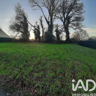 /international/fr/carhaix-plouguer-brittany-310108417964/