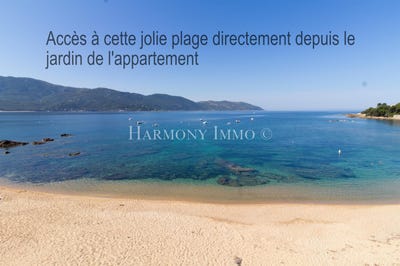 /international/fr/sagone-corsica-310104008498/