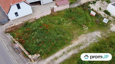 /international/fr/hirtzfelden-alsace-310103175619/