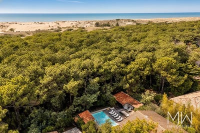 /international/fr/lege-cap-ferret-aquitaine-310108870123/