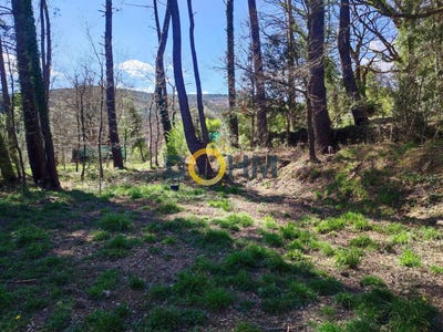 /international/fr/laval-pradel-languedoc-roussillon-120096862830/